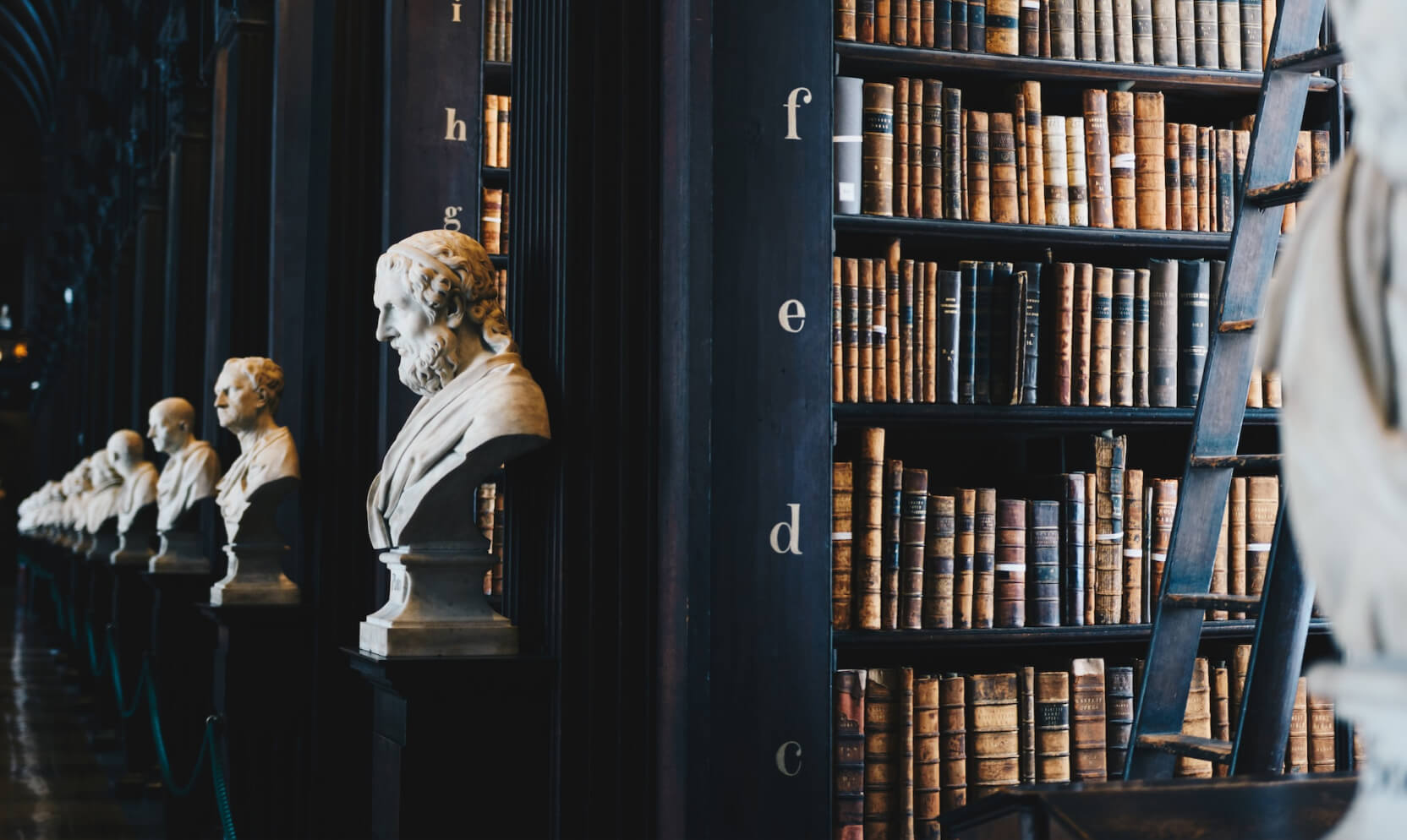 Image of books and stone statues in a library