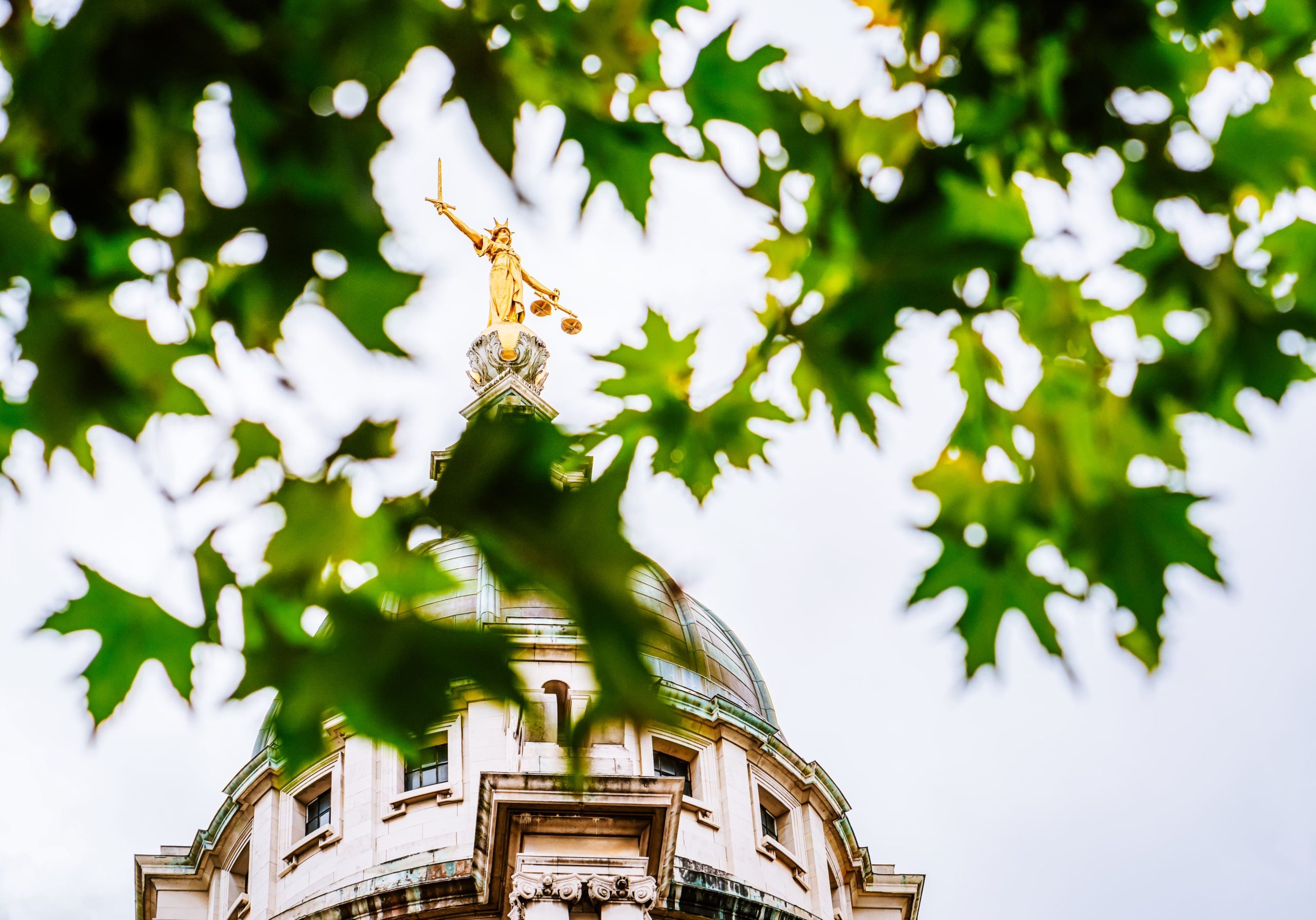 Image of a gold statue with leaves in the foreground